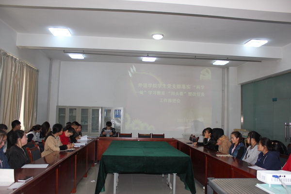 公司员工党支部召开“两学一做”学习教育“回头看”整改工作推进会